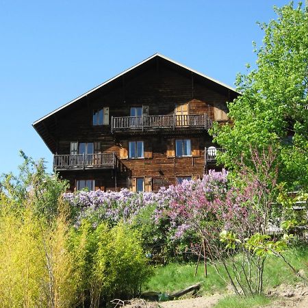 埃姆布能Le Vieux Chalet住宿加早餐旅馆 外观 照片